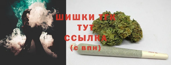 первитин Дмитриев