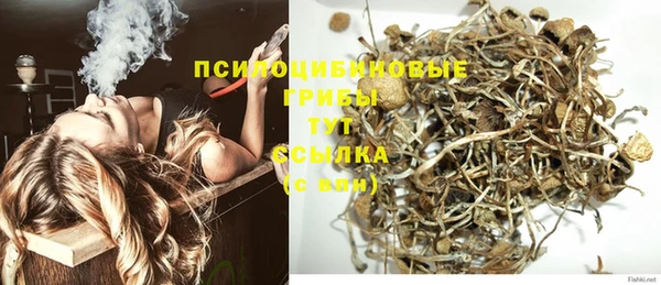 первитин Дмитриев