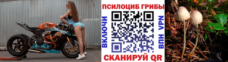 blacksprut вход  Сургут  Псилоцибиновые грибы Psilocybine cubensis 